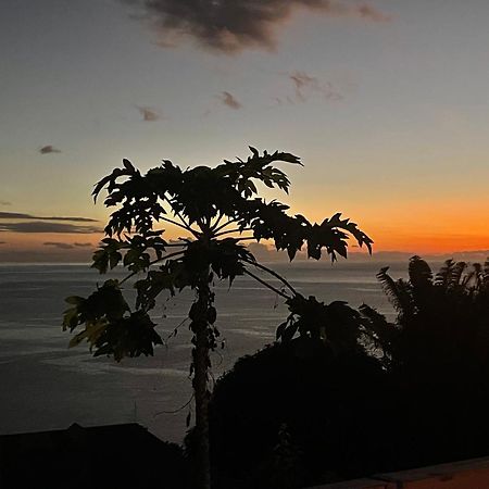 Gites La Nantillaise Bouillante Dış mekan fotoğraf