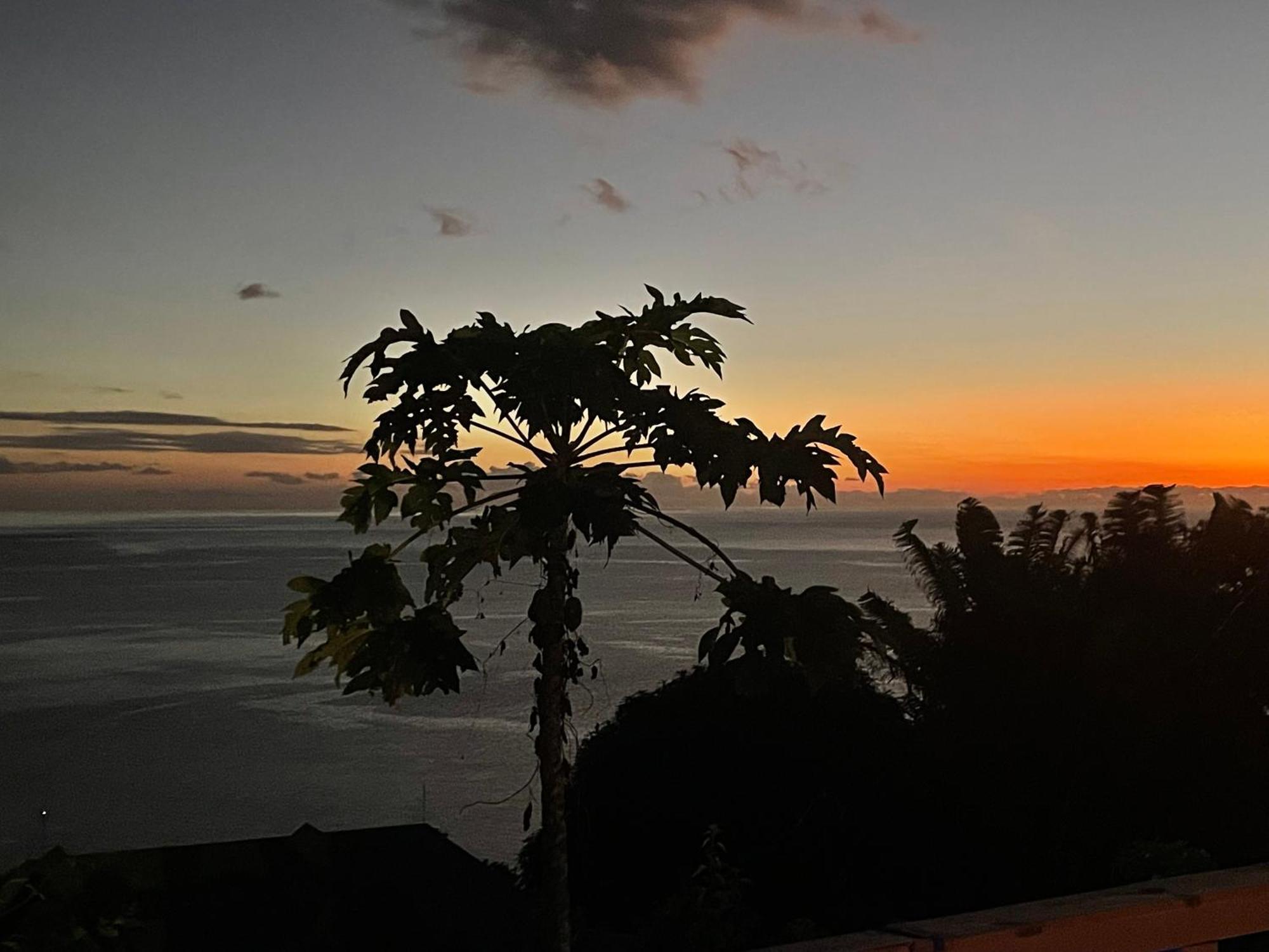 Gites La Nantillaise Bouillante Dış mekan fotoğraf